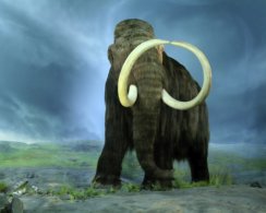 В США нашли прекрасно сохранившийся скелет мастодонта. Ему больше 13 000 лет