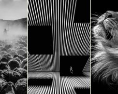Чёрно-белые шедевры: 24 победителя фотоконкурса One Shot Photo Contest 2024